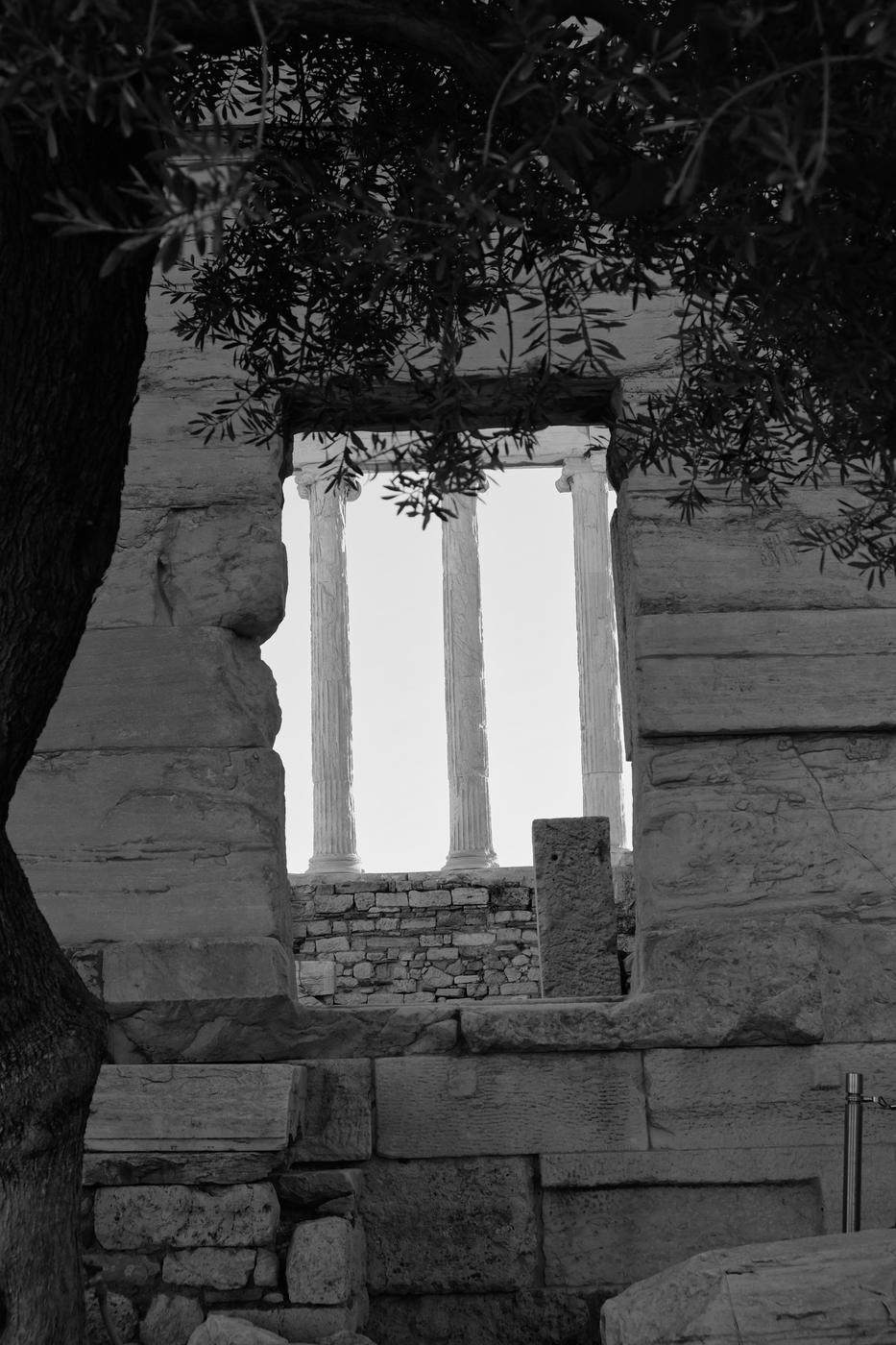 Three columns framed by a stone opening under olive branches