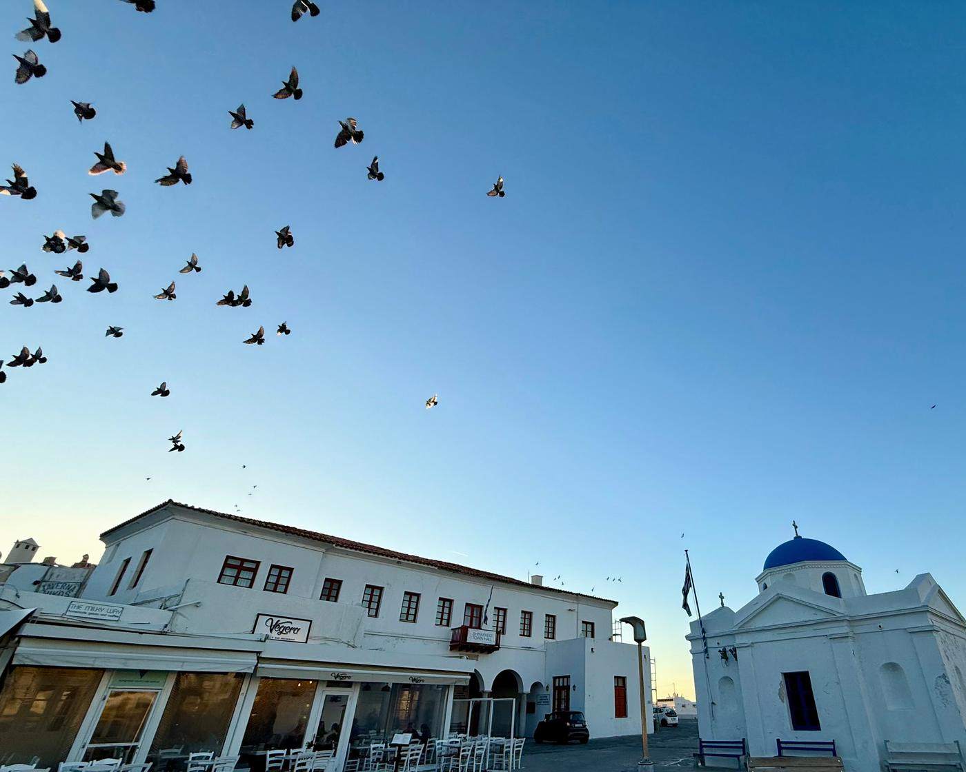 Pigeons scattering over a whitewashed square and blue-domed chapel