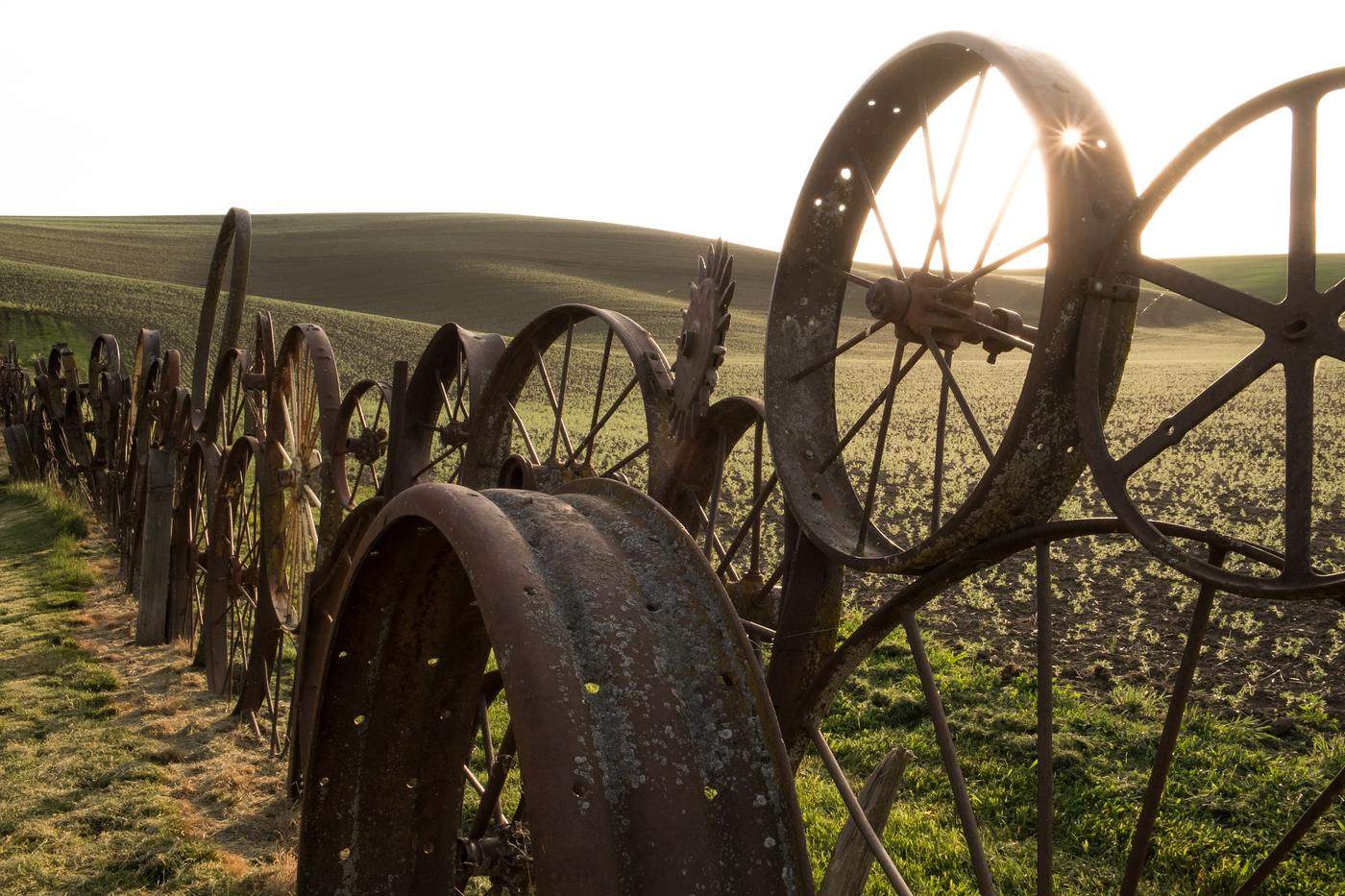 Sun flaring through an iron wagon-wheel fence in the Palouse hills